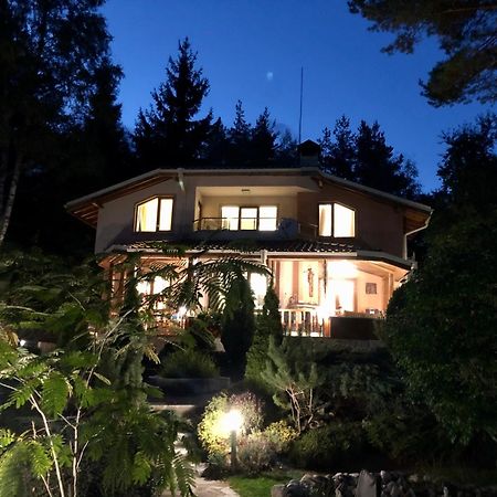 Luxury Villa Borina Zheleznitsa Exteriér fotografie