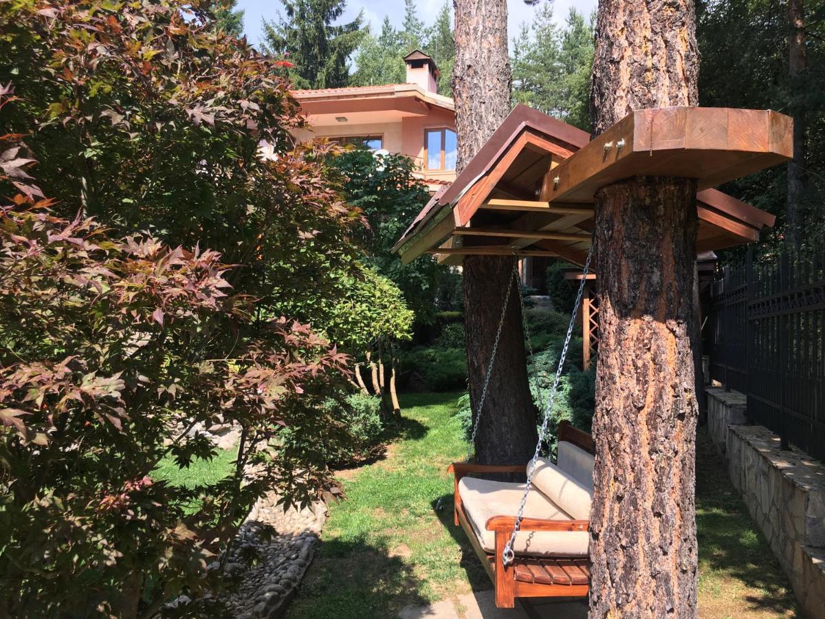 Luxury Villa Borina Zheleznitsa Exteriér fotografie