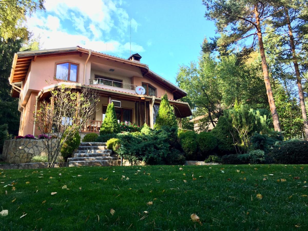 Luxury Villa Borina Zheleznitsa Exteriér fotografie