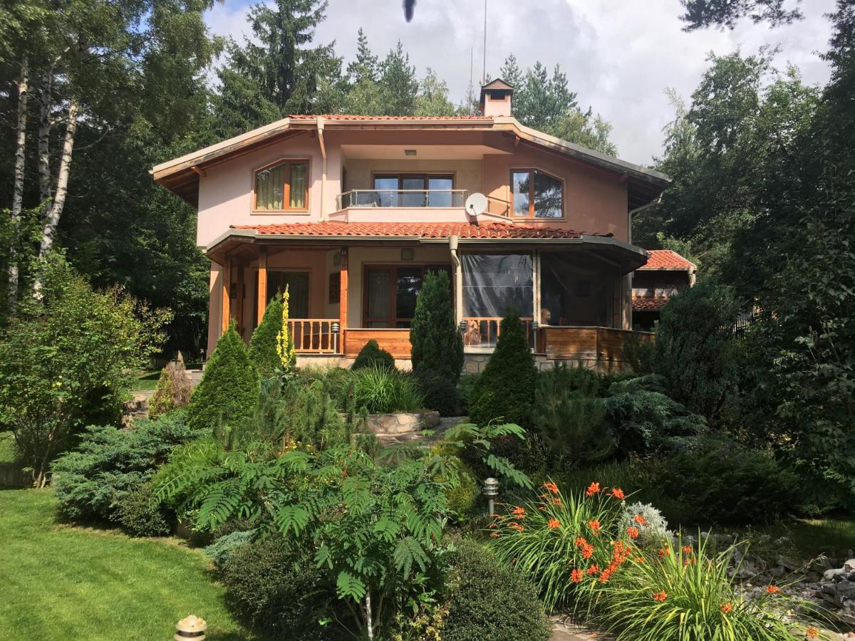 Luxury Villa Borina Zheleznitsa Exteriér fotografie