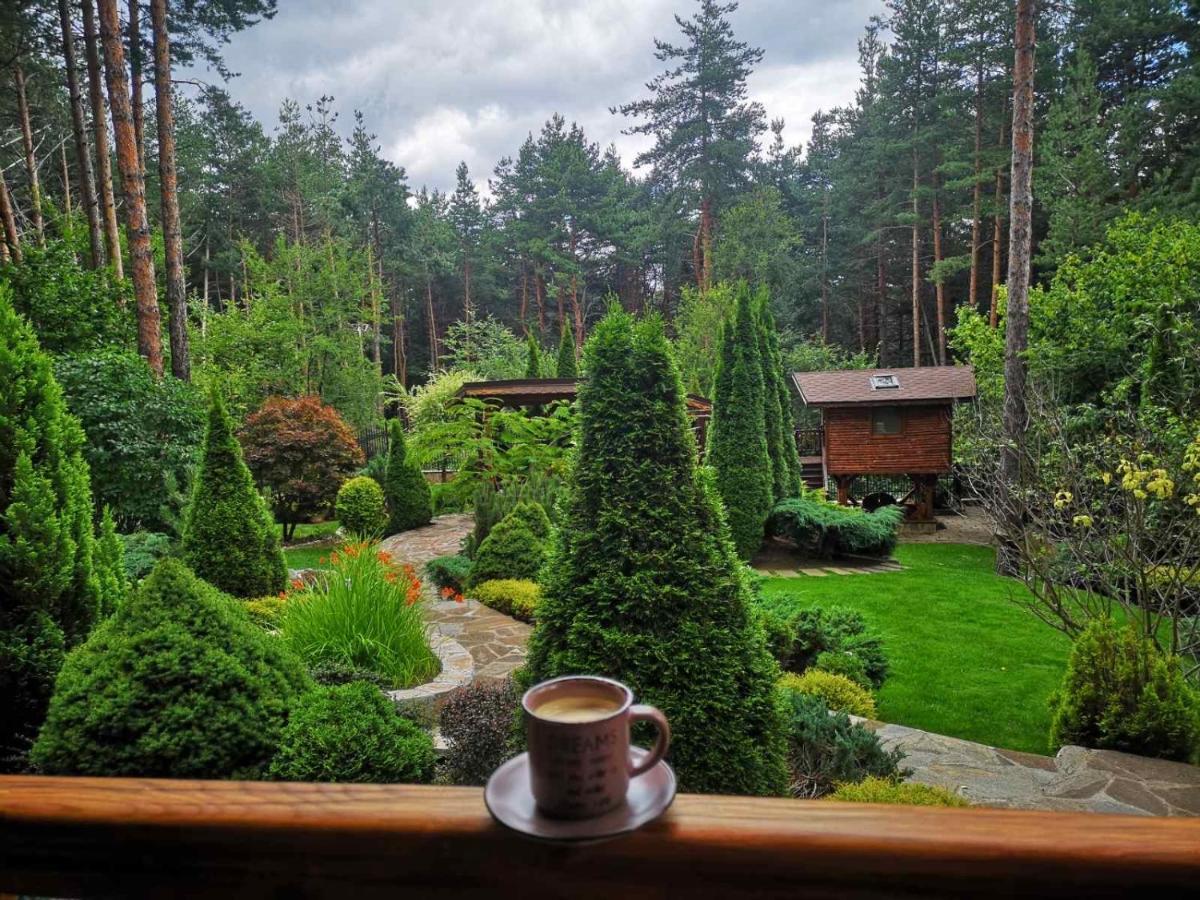 Luxury Villa Borina Zheleznitsa Exteriér fotografie