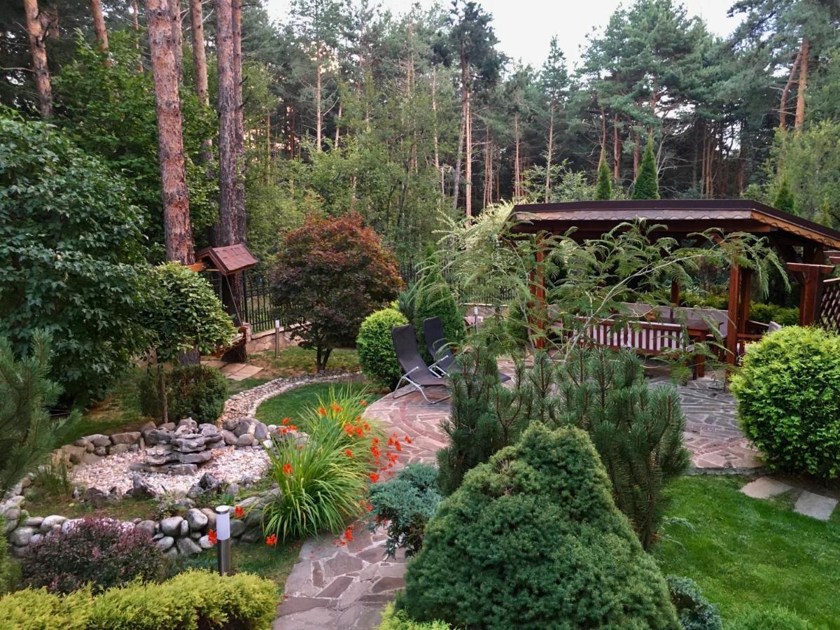 Luxury Villa Borina Zheleznitsa Exteriér fotografie
