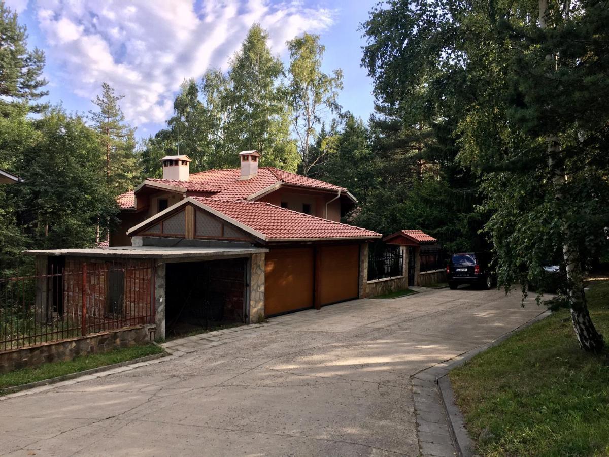 Luxury Villa Borina Zheleznitsa Exteriér fotografie