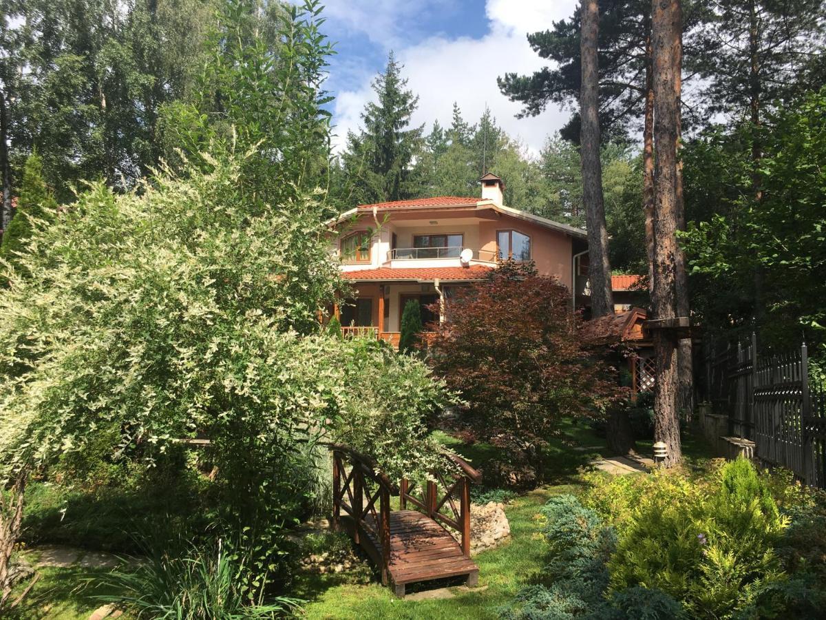 Luxury Villa Borina Zheleznitsa Exteriér fotografie