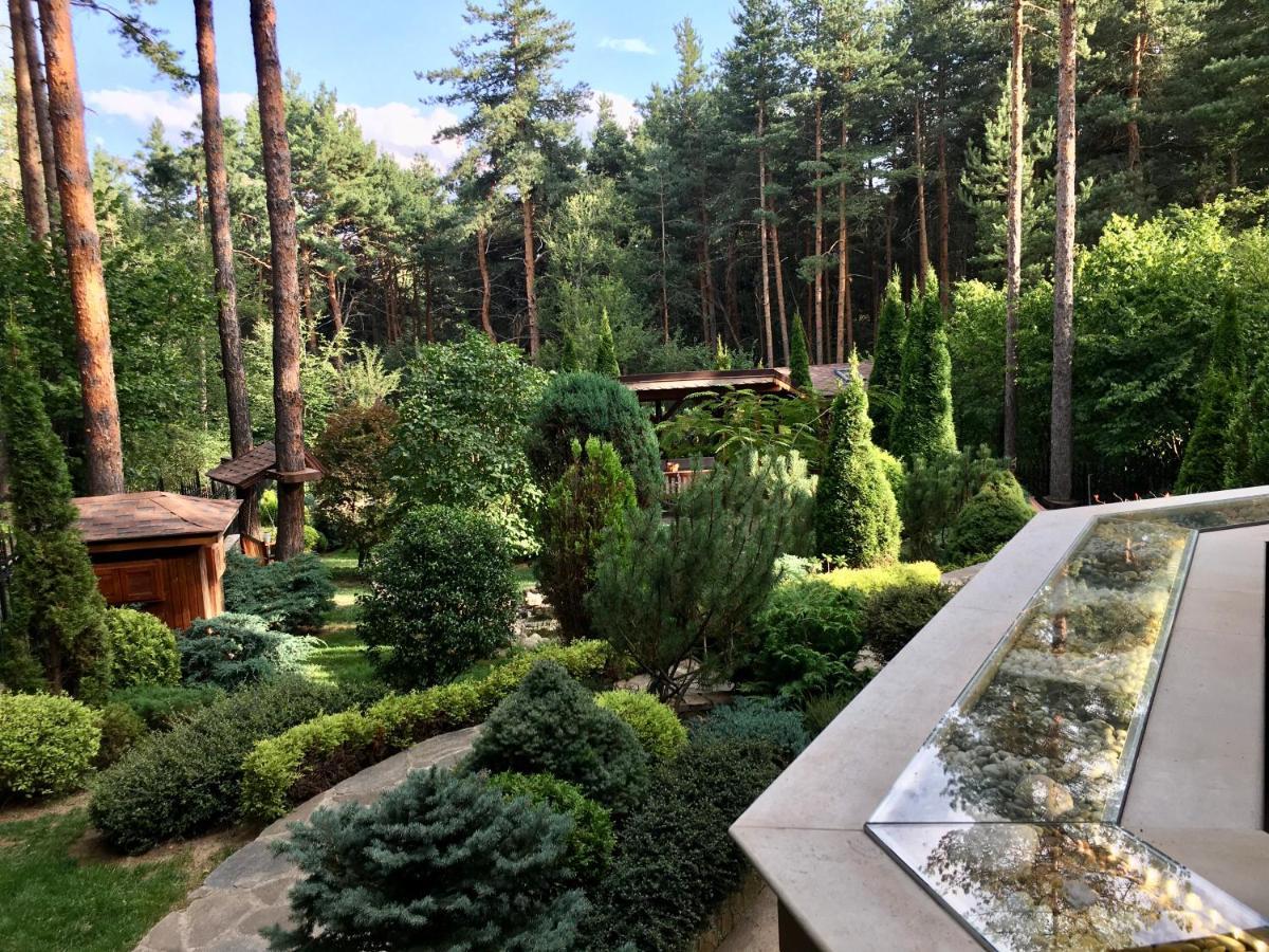 Luxury Villa Borina Zheleznitsa Exteriér fotografie