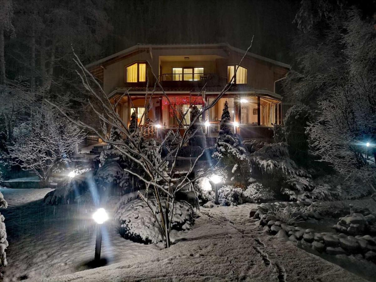 Luxury Villa Borina Zheleznitsa Exteriér fotografie