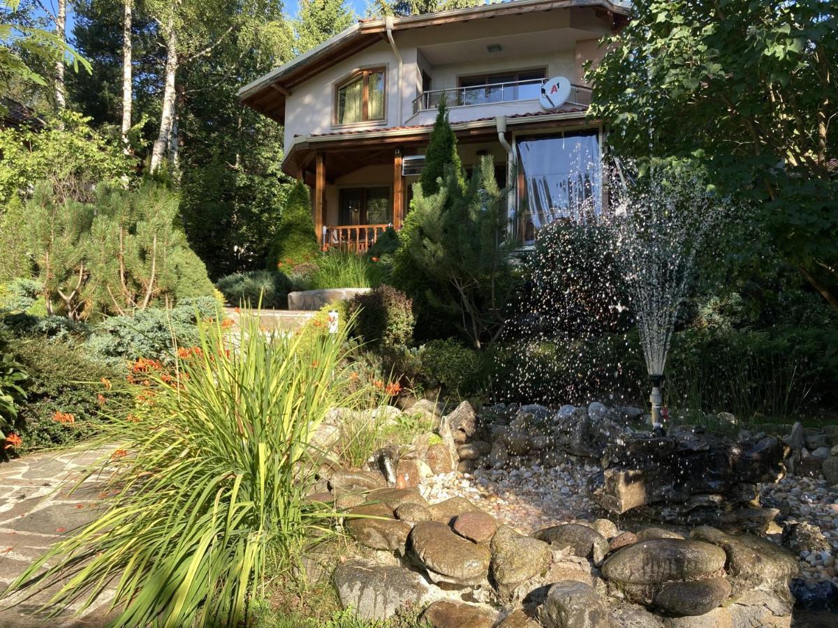 Luxury Villa Borina Zheleznitsa Exteriér fotografie