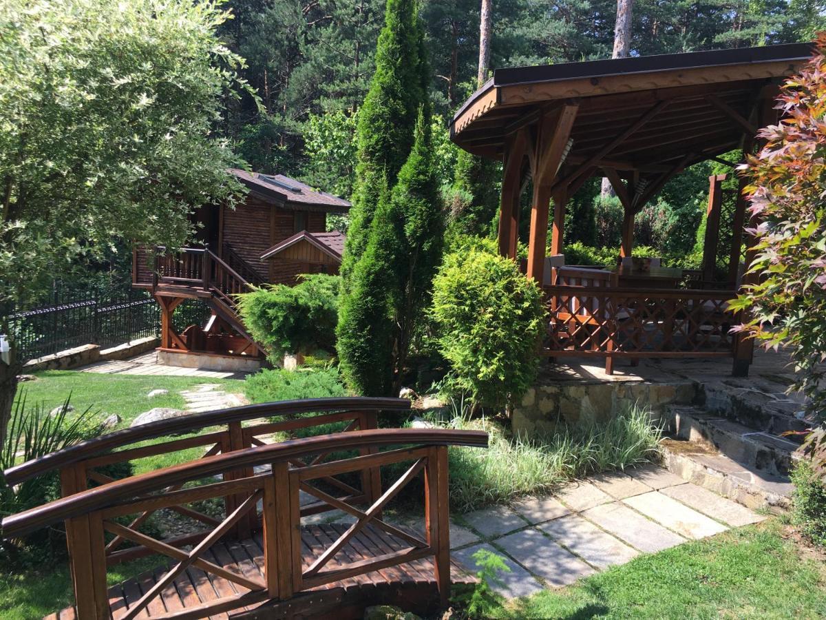 Luxury Villa Borina Zheleznitsa Exteriér fotografie