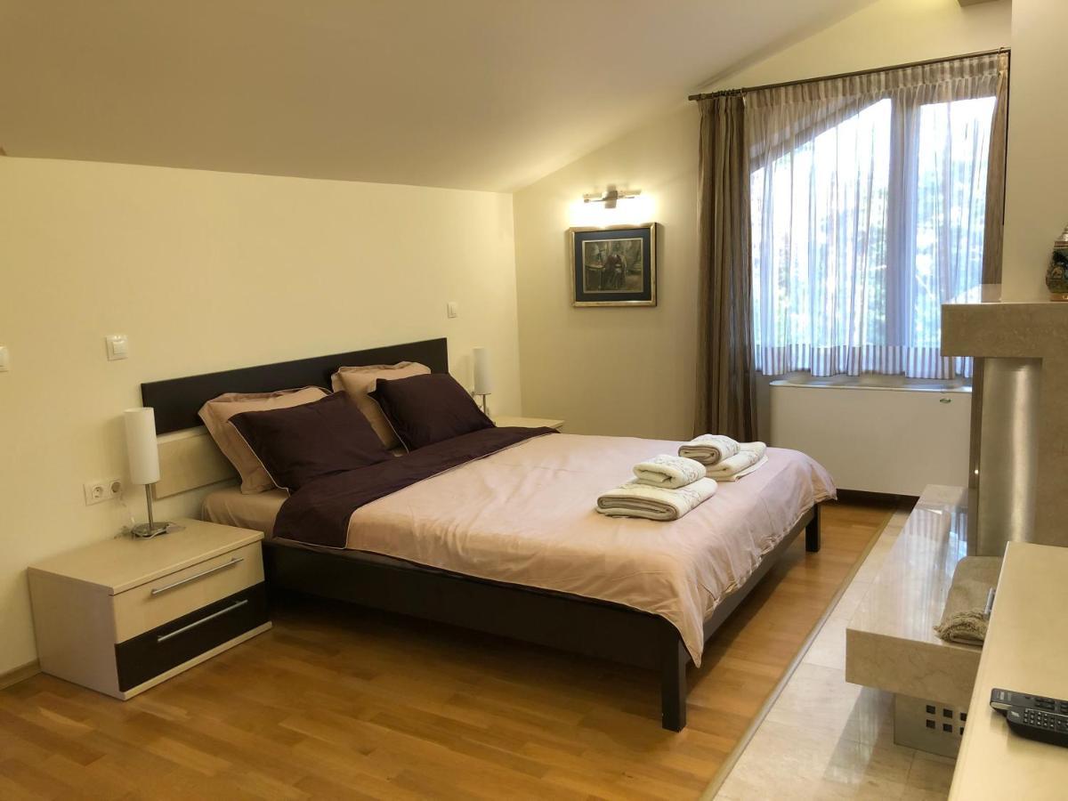 Luxury Villa Borina Zheleznitsa Exteriér fotografie
