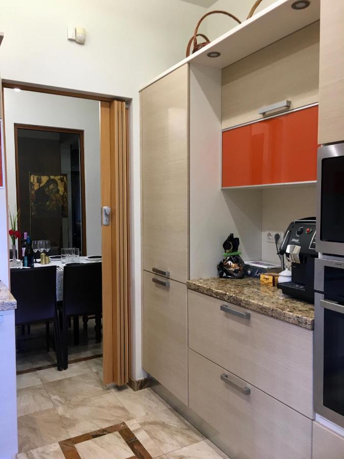 Luxury Villa Borina Zheleznitsa Exteriér fotografie
