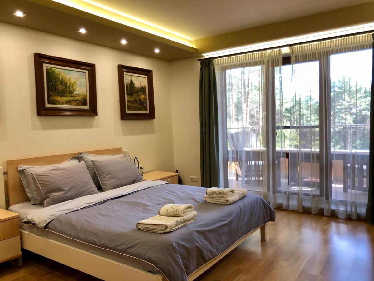Luxury Villa Borina Zheleznitsa Exteriér fotografie