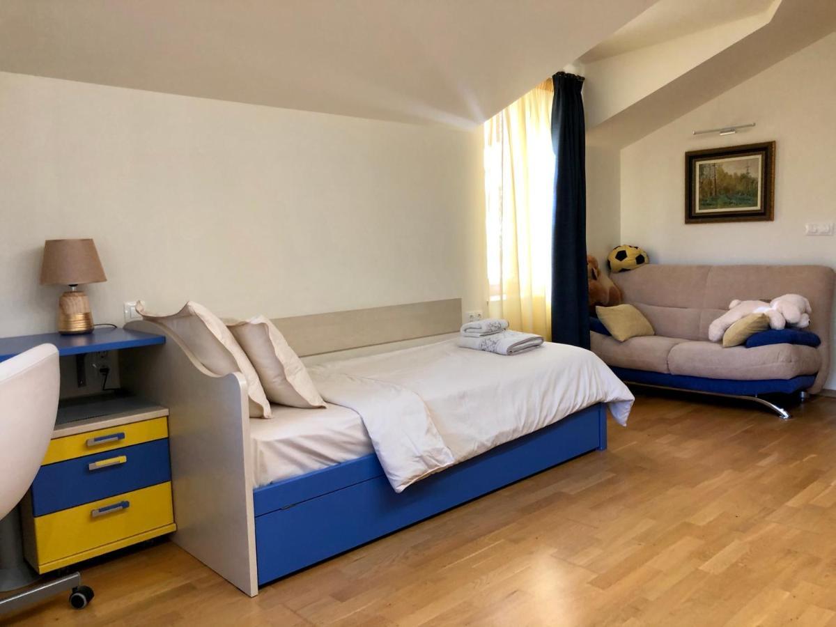 Luxury Villa Borina Zheleznitsa Exteriér fotografie