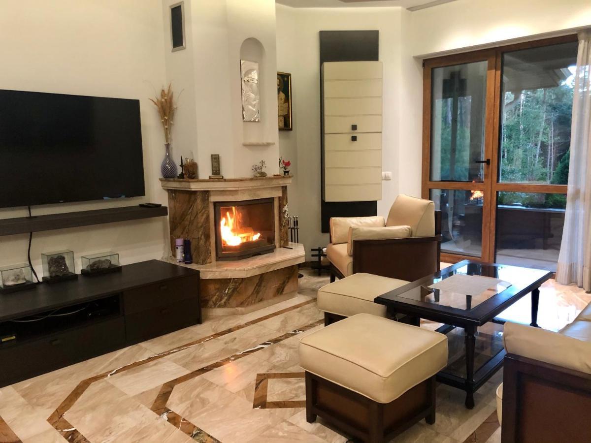 Luxury Villa Borina Zheleznitsa Exteriér fotografie