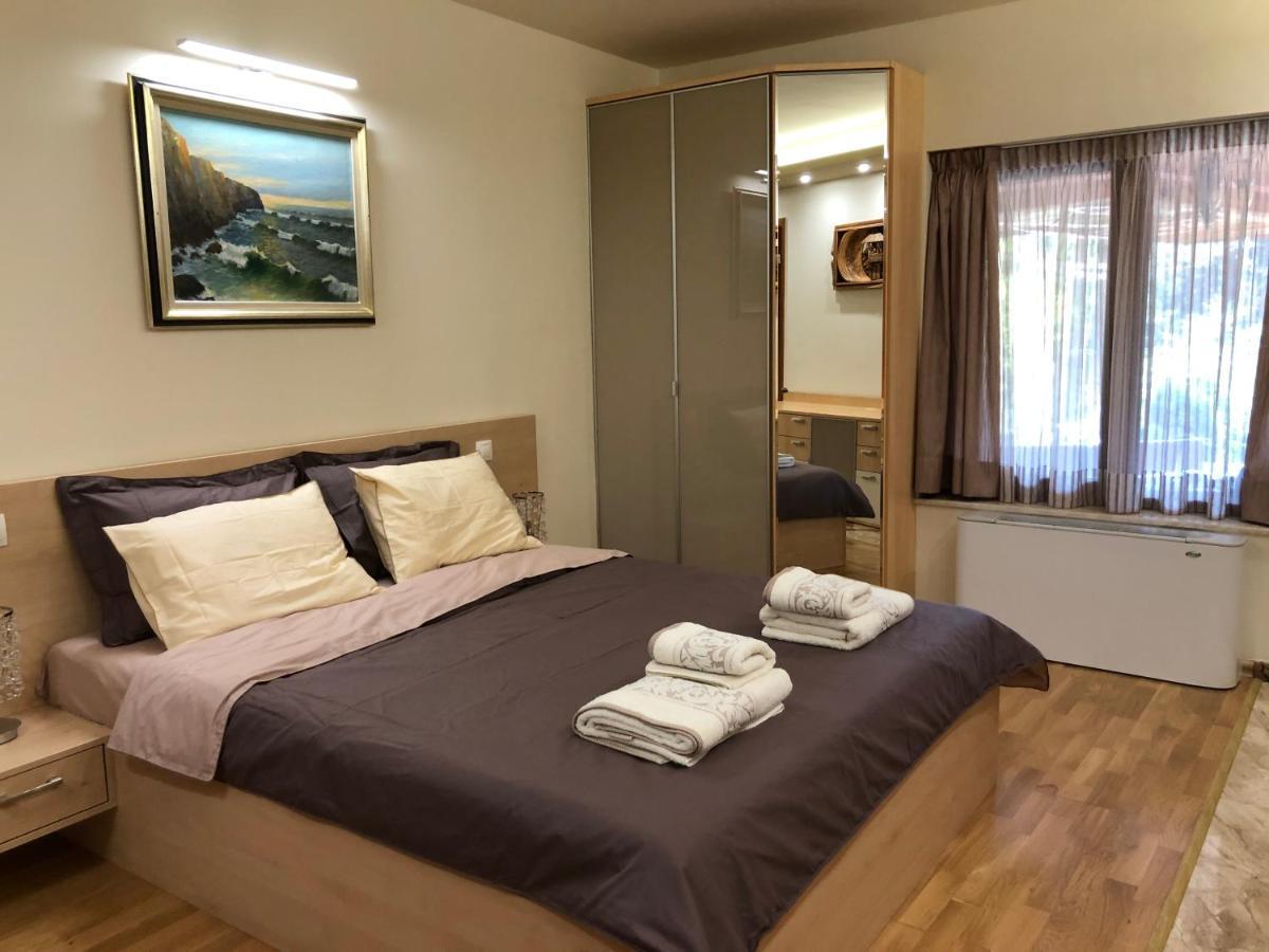 Luxury Villa Borina Zheleznitsa Exteriér fotografie